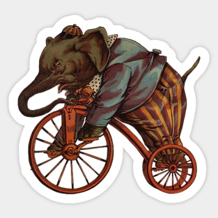 elephant by cicle Sticker